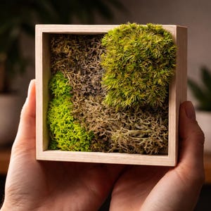 Mini Preserved Moss Wall Art 4x4 · Handmade Natural Decor · Small Green Moss Frame · Desk Shelf Decor · Unique Gift