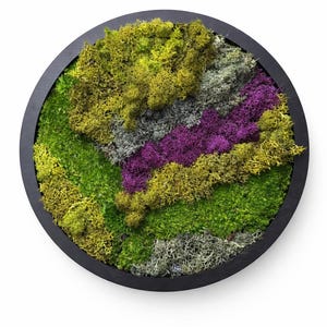 Round Preserved Moss Wall Art · 12 Inch Modern Botanical Decor · Handmade Moss Circle · Zero Maintenance Nature Art