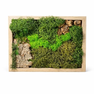 Preserved Moss Wall Art Small · Rectangular Moss Frame · Modern Natural Decor · Minimalist Home Accent