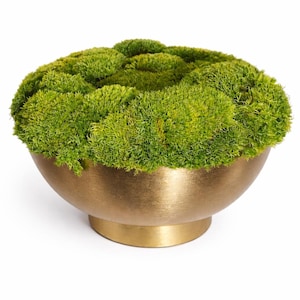 以下が含まれることがあります： 鮮やかな緑色の苔で満たされた、金色の装飾ボウル。 ボウルは丸みを帯びた形状で、台座が付いており、金属的な輝きと苔の自然な質感の間に印象的なコントラストを生み出しています。