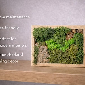 Preserved Moss Wall Art Small · Rectangular Moss Frame · Modern Natural Decor · Minimalist Home Accent
