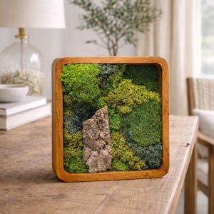 Preserved Moss Wall Art Frame 10x8 – Real Moss Wall Decor – Handmade Botanical Wall Art – Natural Greenery Frame – No Maintenance Nature Dec