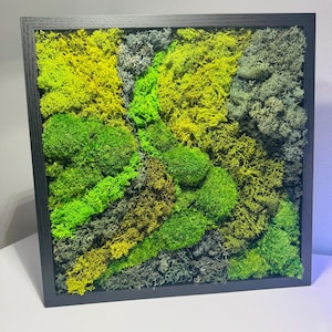 Moss Wall Art in Black Frame – Preserved Green Moss Decor, Modern Botanical Wall Hanging, Handmade Nature Artwork