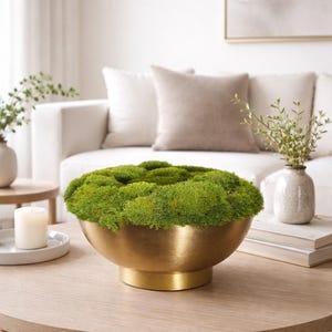 Può includere: Una ciotola in metallo color oro piena di muschio verde vibrante è appoggiata su un tavolino da caffè in legno chiaro. La ciotola ha un design ampio e poco profondo e una base circolare. Lo sfondo include un divano bianco e cuscini neutri.