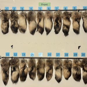 Eco Friendly Finnish Raccoon (Tanuki) Tails