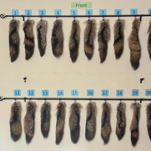 Eco Friendly Gray Fox Tails