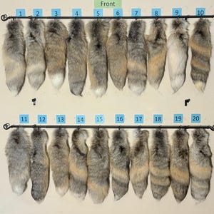 Eco Friendly Golden Island Fox Tails