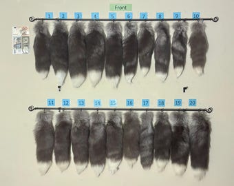 足と爪が付いたシルバーフォックスの毛皮、シルバーフォックス、キツネ