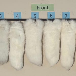 Eco Friendly Arctic Fox Tails