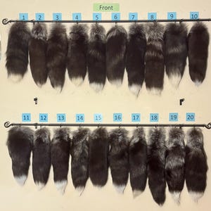 Può includere: Esposizione di venti code di volpe, prevalentemente nere con punte bianche, disposte su due barre metalliche decorative. Le code sono numerate da 1 a 20 su etichette blu, contro un muro color crema. La parola 'Front' è visibile.