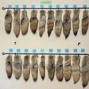 Eco Friendly Coyote Tails