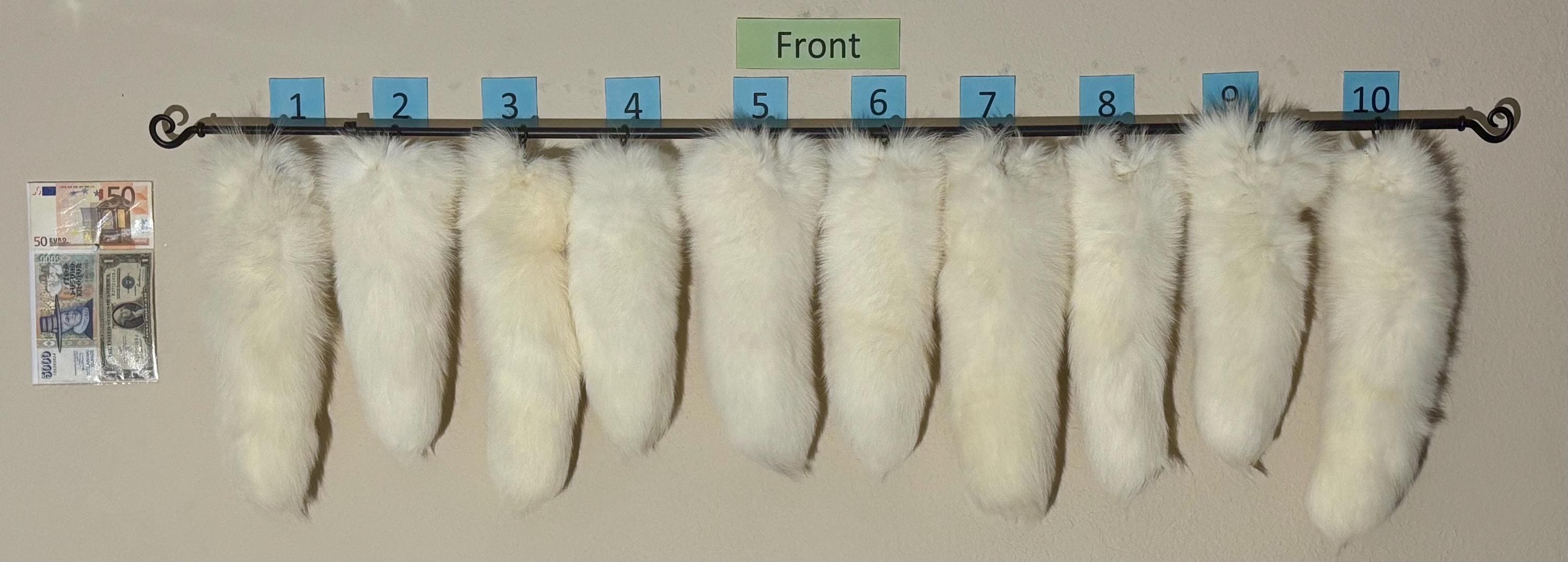 Eco Friendly Arctic Fox Tails - Etsy
