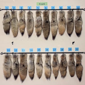 Eco Friendly Coyote Tails