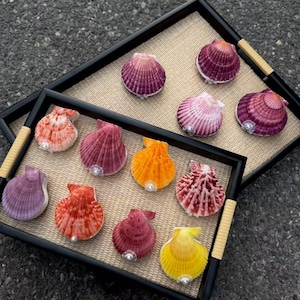 Cuaderno artesanal de conchas marinas, diario de conchas naturales, papelería inspirada en el océano, diario único encuadernado a mano, libro de palabras compacto, regalo creativo para un amigo.