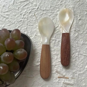 Handcrafted Small Shell Spoon Set, Natural Wood Handle Mini Spoons, Unique Gift for Couples, Boho Kitchen Utensils, Artistic Home Accessory