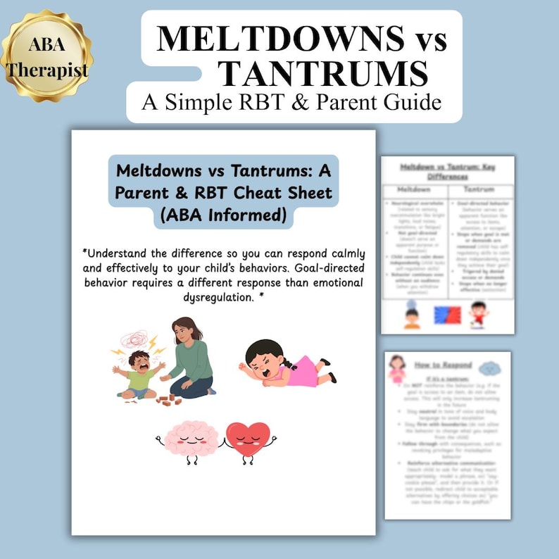 Meltdowns vs Tantrums (How to Respond): RBT, Teacher, and Para Cheat Sheet, Parent Guide image 1