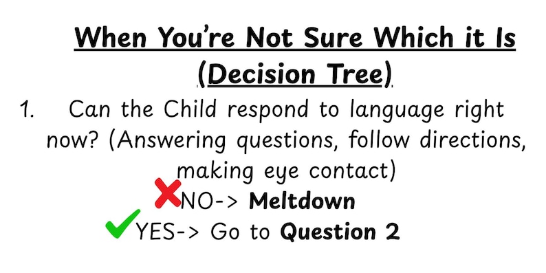 May include: A white graphic with black text that reads "When You're Not Sure Which it Is (Decision Tree)". It includes a decision tree question about a child's language response, with "NO" leading to "Meltdown" and "YES" to "Go to Question 2".