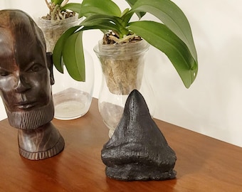 メガロドン先史時代のサメの歯のレプリカ - 高級樹脂製 - Etsy 日本