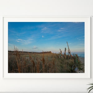 May include: A framed photograph of a beach scene with tall grasses and driftwood in the foreground. The sky is a light blue with wispy clouds. The photo is hanging on a white wall above a light gray couch.