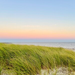 May include: A serene beach scene at sunset. The sky transitions from blue to pink and orange, reflecting on the calm water. Green sea grass sways gently in the foreground, with a sandy beach visible.