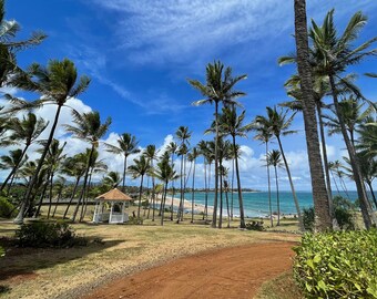 Hawaii Palm Trees // Lydgate Beach Park // Wailua Kauai // Coastal Decor Photography // Canvas Print