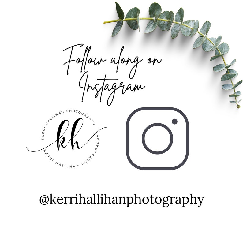 May include: Follow along on Instagram @kerrihallihanphotography. A black and white logo with the initials "kh" in a circle with the text "Kerri Hallihan Photography" around the circle. The Instagram logo is a white circle with a black outline and a black dot in the top right corner.