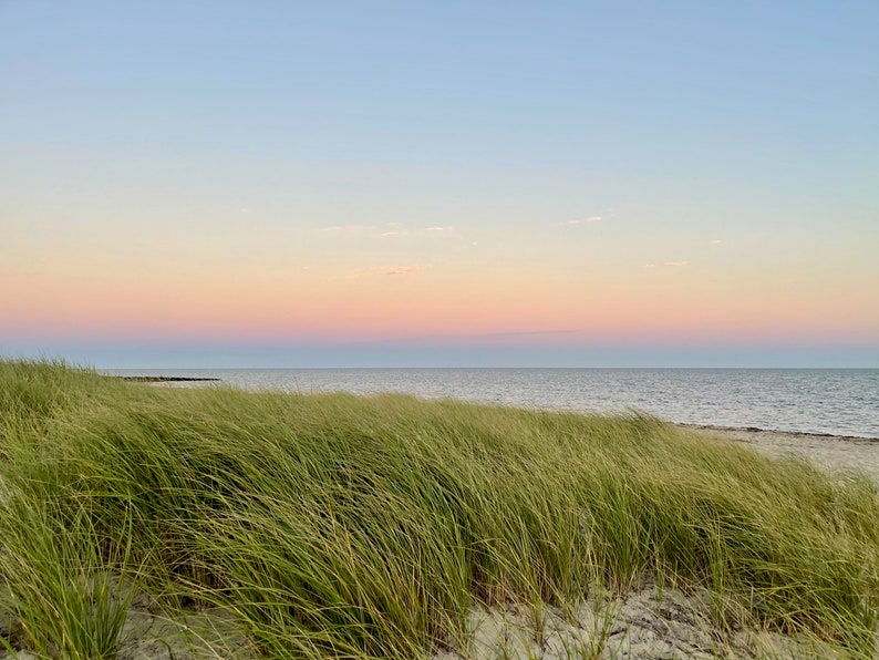 May include: A panoramic view of a beach with tall green grass in the foreground, a sandy beach, and a calm sea with a pink and blue sunset in the background.