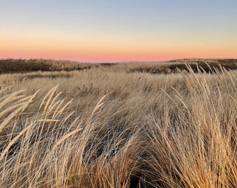 Pink Sunset over Dunes // Nautical Landscape // Beach Wall Art // Duxbury // Beach Cottage Decor // Cape Cod Beach Photograph