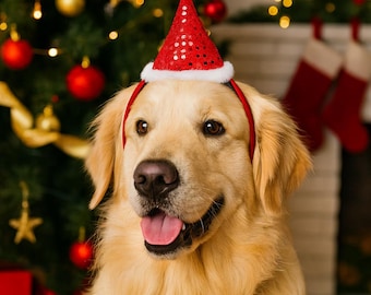 Serre-tête Bois De Renne Pour Chat & Chien - Déguisement Mignon Noël Avec Boucle Ajustable - Accessoire Photo Fêtes (Motif Élan) - 7