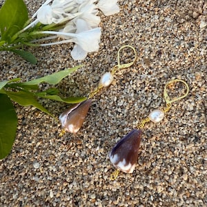 May include: A pair of handcrafted earrings featuring natural seashells with brown and white patterns. Each earring has a gold-colored hook, a white pearl, and gold wire accents. The earrings are displayed on a sandy surface with white flowers and green leaves.