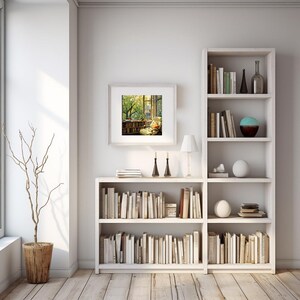 May include: A bright, airy room with white bookshelves filled with books. A framed picture hangs on the wall, depicting a cozy reading nook. A decorative tree in a wooden pot stands near a large window, and a small lamp sits on a shelf.