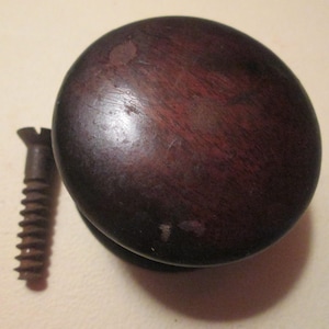 May include: A round, dark brown wooden cabinet knob with a smooth, polished surface and visible wood grain. Beside the knob lies a single, weathered metal screw with a flat head and a threaded shank, intended for mounting the hardware piece.