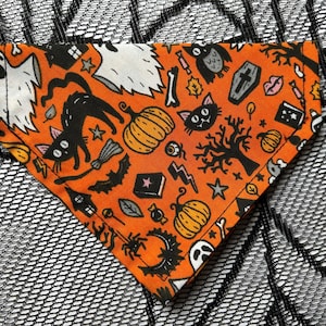 Halloween Cat Bandana: Slip-On Collar, cat and Small dod Accessory