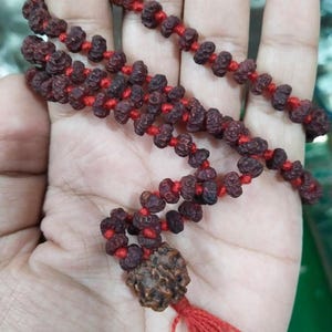 May include: A dark brown beaded necklace with a red tassel. The beads are strung on red thread. The necklace is held in a hand.