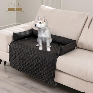 Puede incluir: Un cachorro pequeño y de color claro está sentado sobre una funda de sofá acolchada negra para mascotas. La funda está colocada sobre un sofá beige, con refuerzos negros en los laterales. El cachorro tiene pelaje gris y blanco.