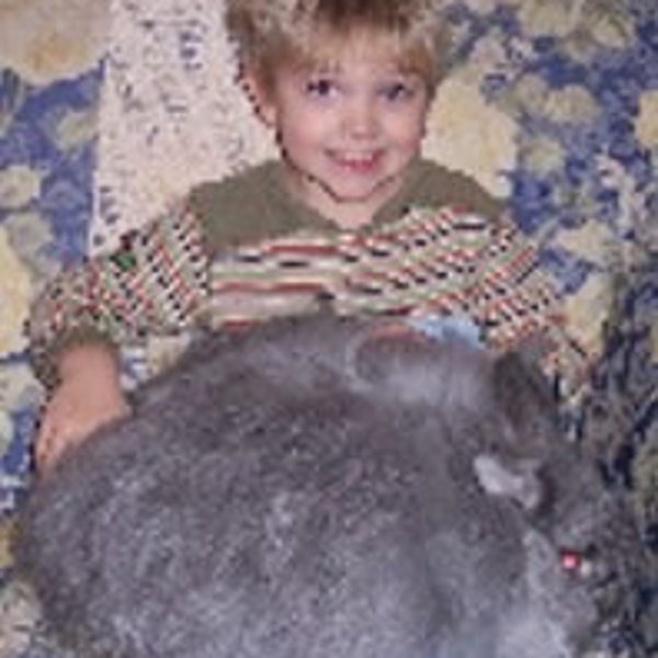 Dog Hair Spinning Etsy