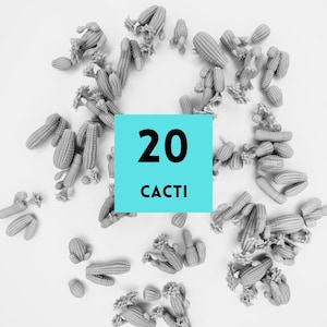 May include: A monochrome image featuring twenty cacti scattered on a white surface. The cacti are in various shapes and sizes, with a light green hue and textured details. A turquoise square in the center displays the number "20" and the word "CACTI" in black.