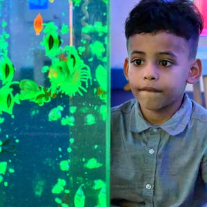 May include: A young person gazes intently at a glowing, illuminated aquarium. The aquarium is filled with neon green and orange shapes, possibly representing aquatic life. The person is wearing a gray button-down shirt.