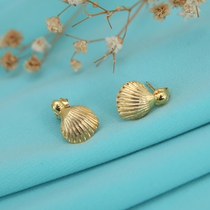 May include: A pair of gold-colored seashell stud earrings. The earrings have a detailed, ridged design and a small, round post. They are displayed on a light blue fabric, with dried flowers in the background. The earrings are a jewelry item.