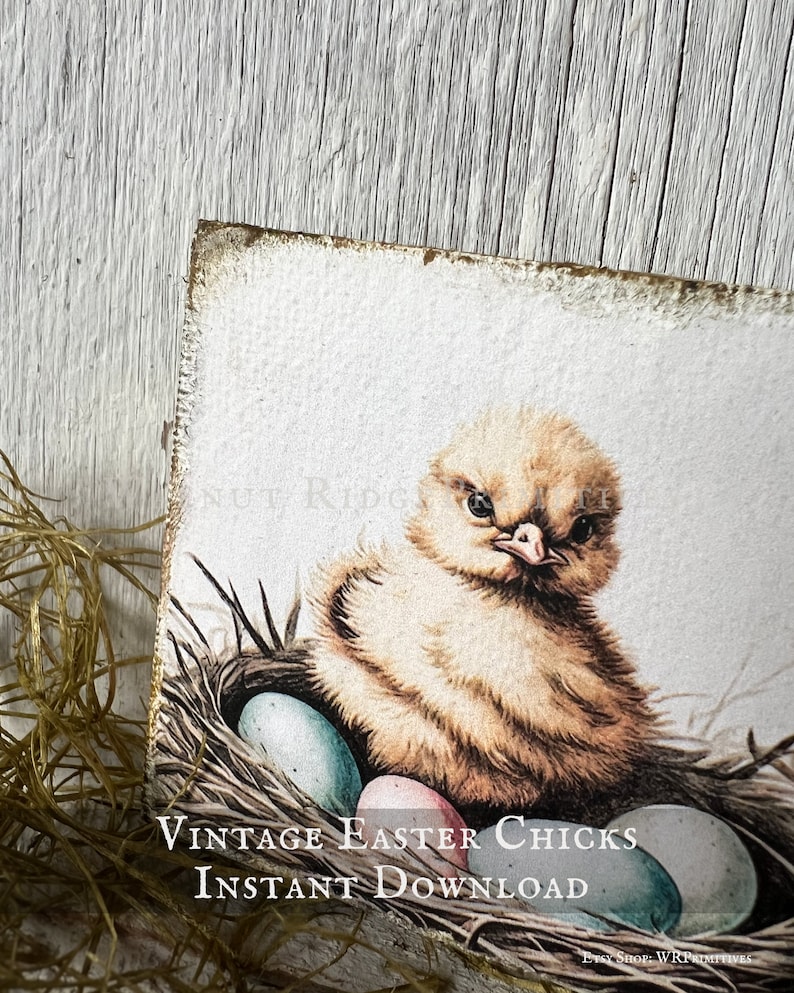 Vintage Spring Easter Chicks Instant Download Primitive Farmhouse Decor ...