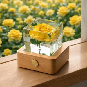 May include: A yellow rose encased in a clear cube, set atop a wooden base with a brass-colored button. The rose is in full bloom, with green leaves. The background features a blurred field of yellow roses.