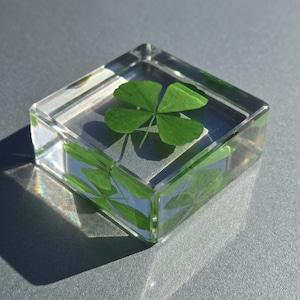May include: A clear, square resin paperweight encasing a vibrant green four-leaf clover. The clover is centered within the transparent block, showcasing its detailed leaf structure. The paperweight sits on a gray surface, with light reflecting off the resin.