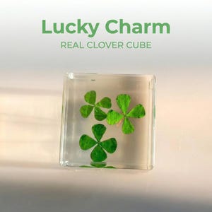 May include: A clear, square resin cube containing three green four-leaf clovers. The text "Lucky Charm" and "REAL CLOVER CUBE" are printed in green above the cube. The cube is displayed on a white surface.