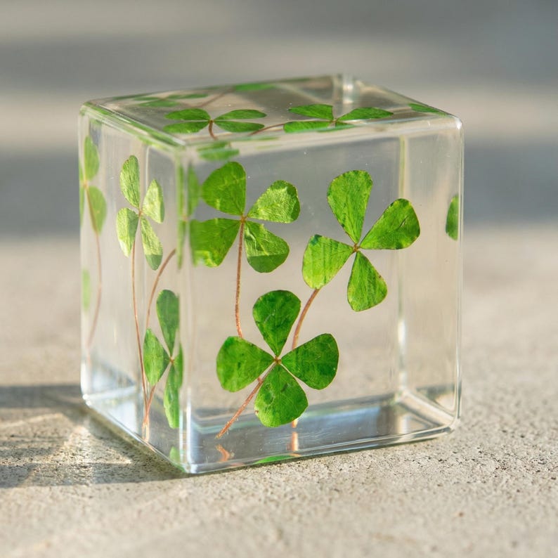 May include: A clear, square resin block encasing several green four-leaf clovers. The clovers are arranged throughout the block, with visible stems. The block is sitting on a gray surface.