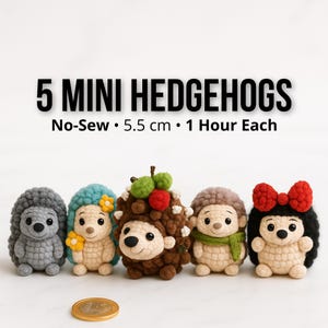 Puede incluir: Cinco mini erizos de ganchillo en varios colores, cada uno de aproximadamente 5,5 cm de altura. Los erizos tienen diferentes accesorios, incluyendo un lazo, flores y una bufanda. El texto superior dice "5 Mini Erizos".