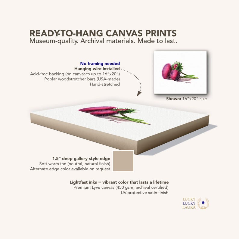 Thistle Flower Watercolor Art Print – Botanical Wildflower Trio, Musk Thistle in Bloom