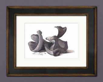 Black Trumpet Mushrooms Watercolor | Giclée Print