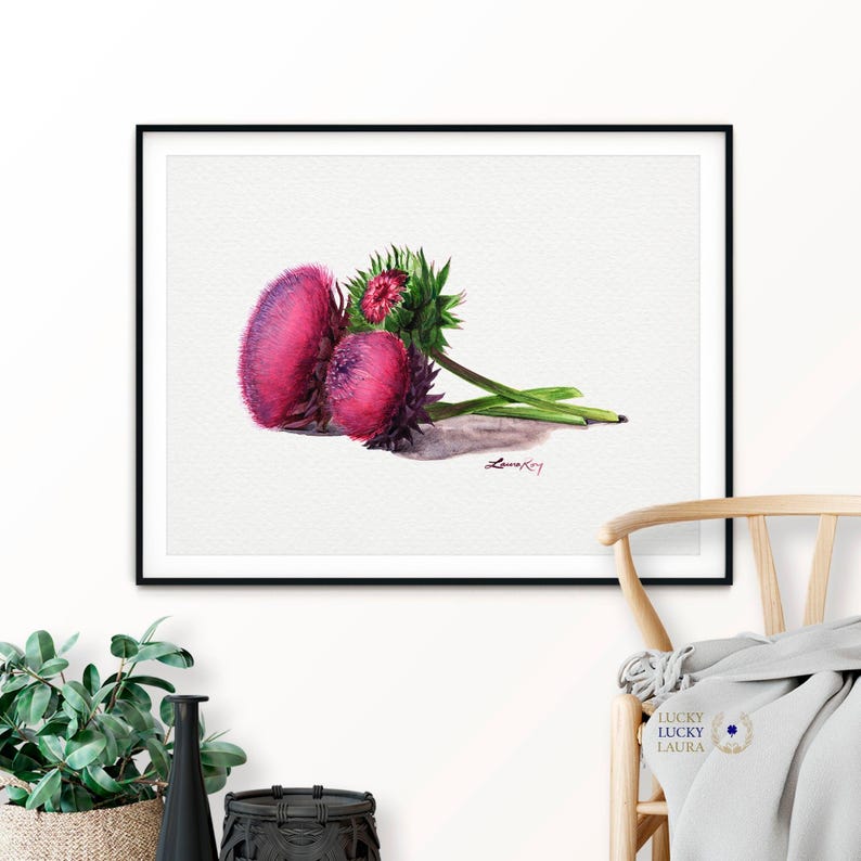 Thistle Flower Watercolor Art Print – Botanical Wildflower Trio, Musk Thistle in Bloom