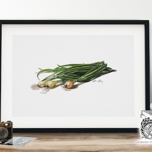 Spring Onions Watercolor | Giclée Print
