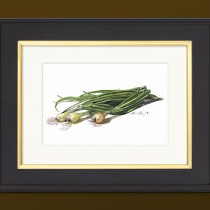 Green Onions Watercolor | Giclée Print